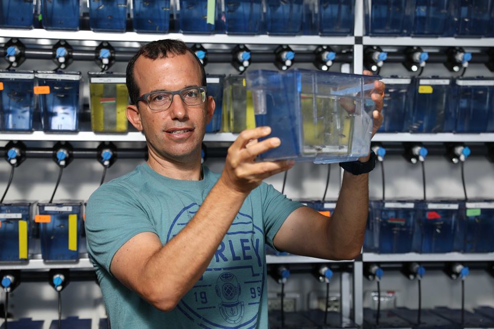Prof. Appelbaum Lior