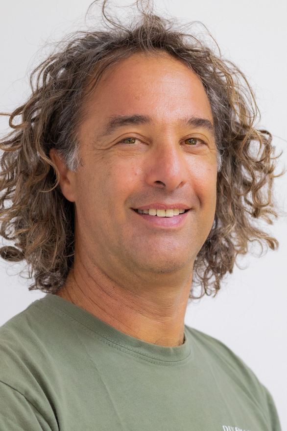 תומר שאולוב