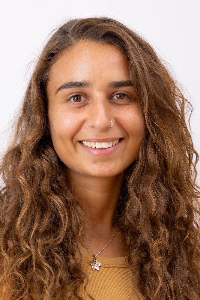 אריאל גלבוע