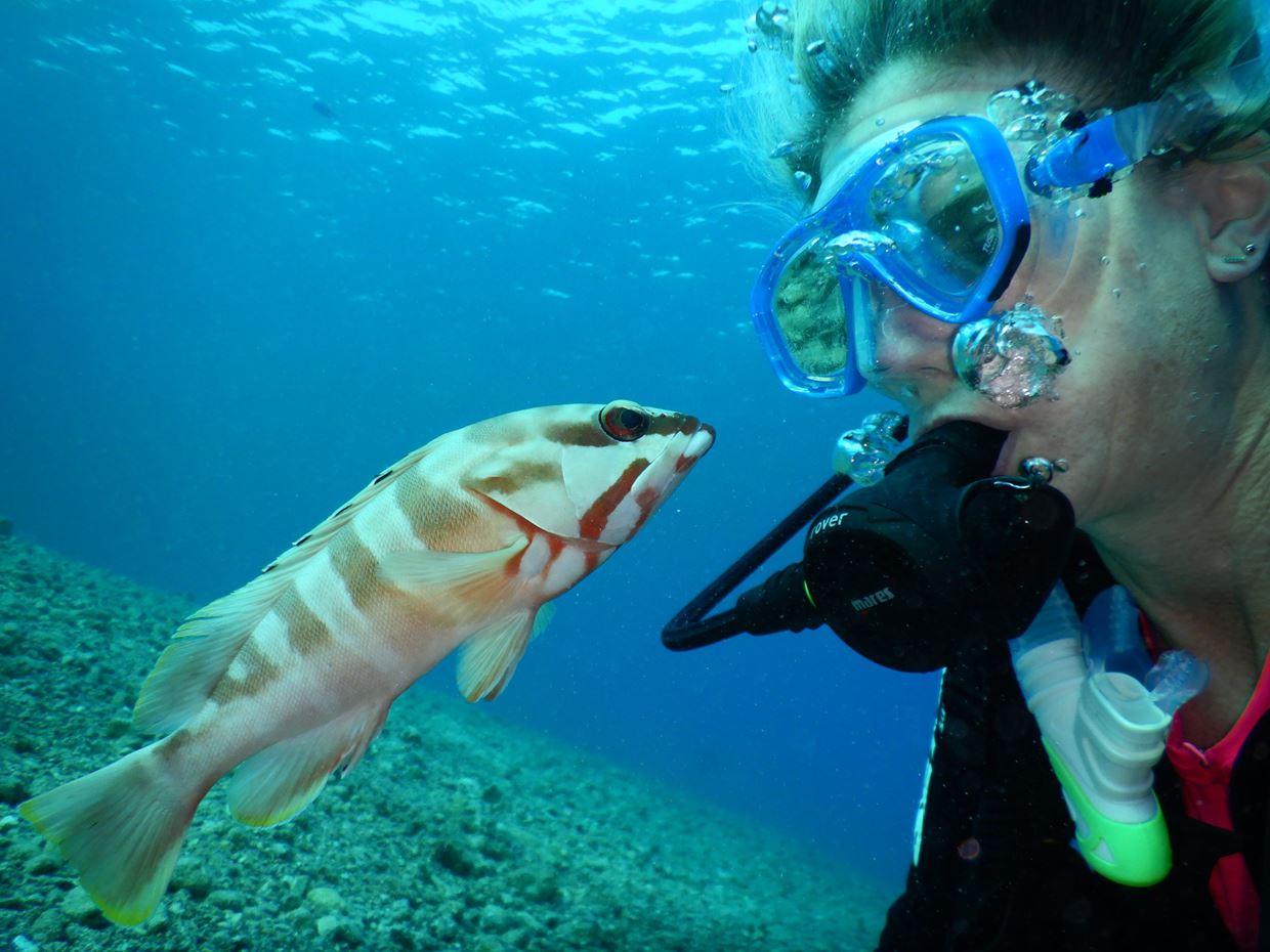 Cross-Border Environmental Cooperation: Gulf of Eilat
