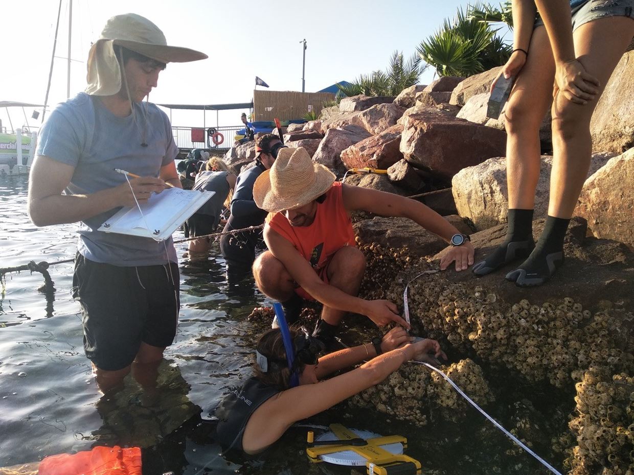 Statistical Methods in Marine Ecology