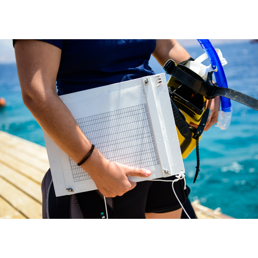 IUI Seminar Series 2025-2026