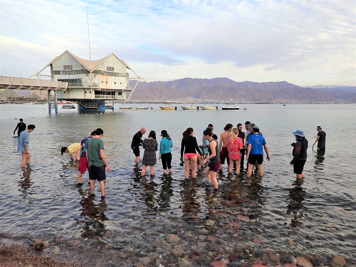 Time and Rhythms in Aquatic Systems