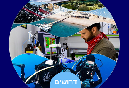 Administrative Manager 